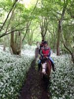Derbyshire Pony Trekking image 4